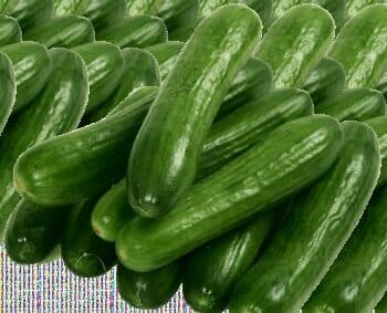 Cucumber