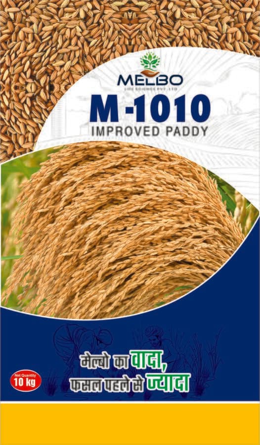 M-1010 — view 2
