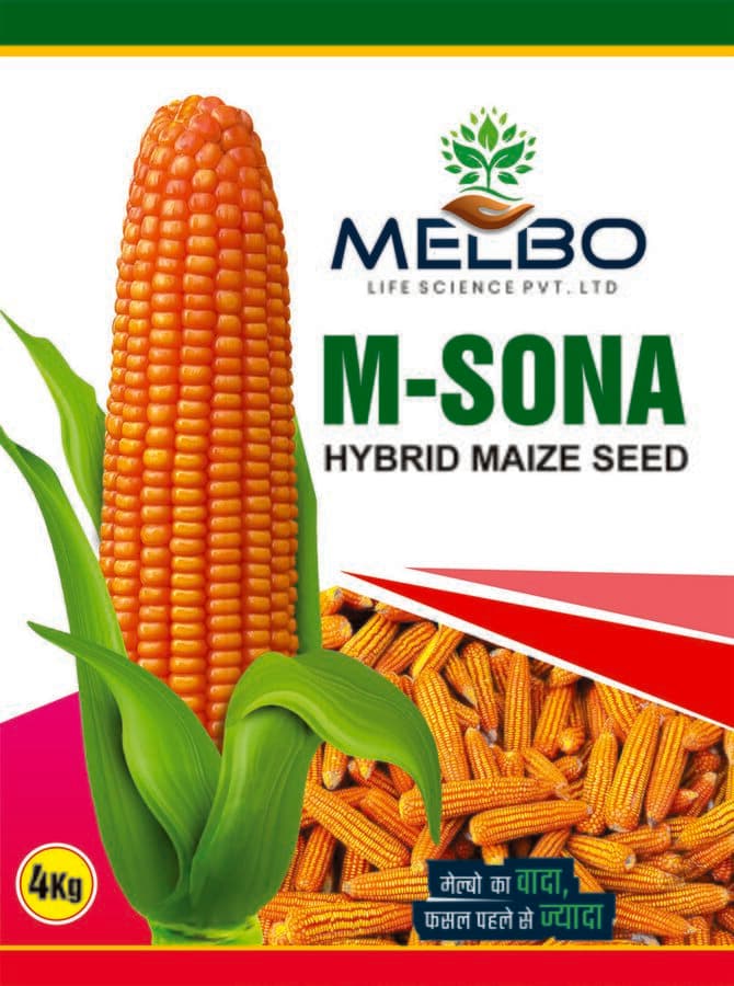 M-Sona — view 2