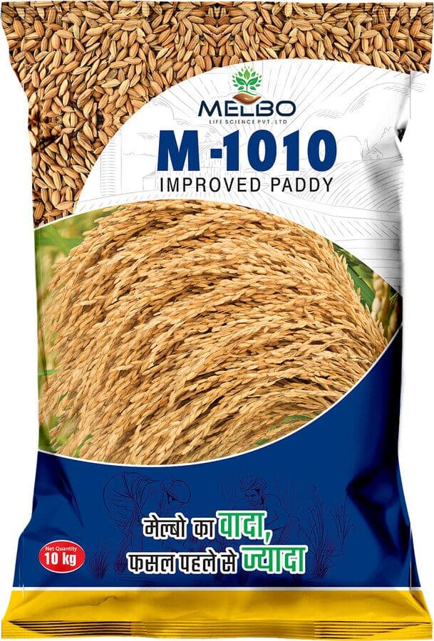 M-1010