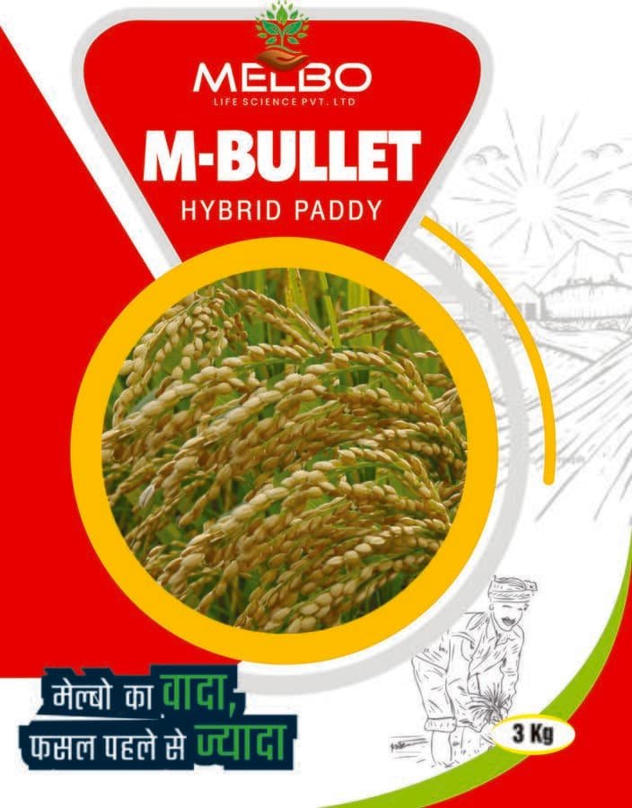 M-Bullet — view 2