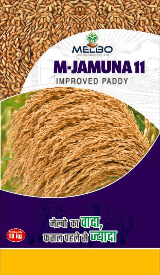 M-Jamuna 11 — view 2
