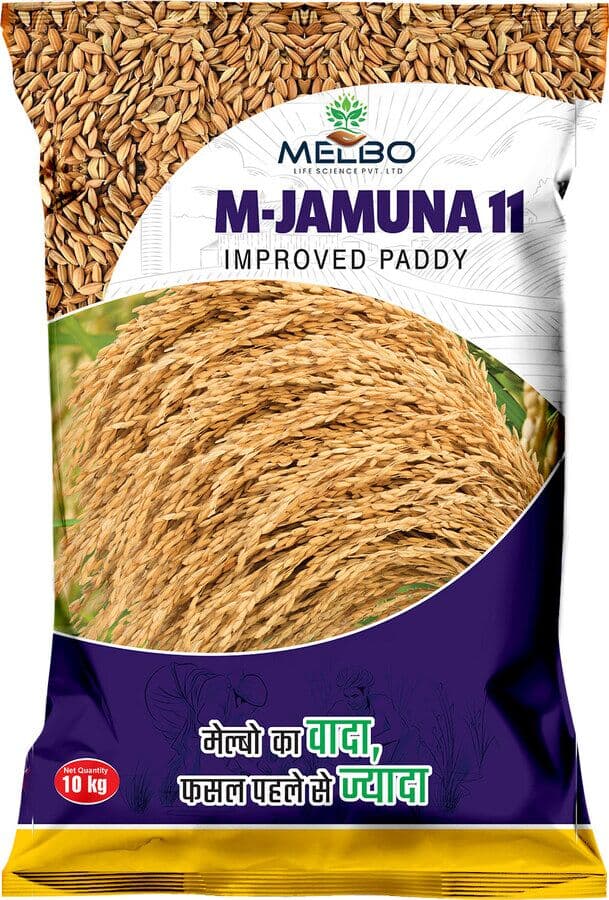 M-Jamuna 11