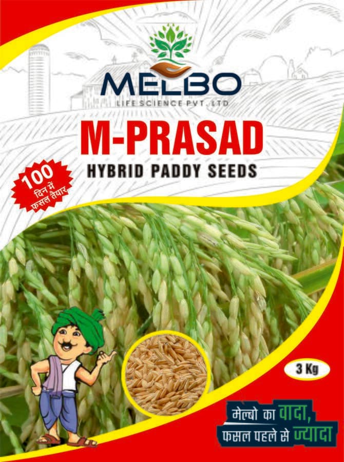 M-Prasad — view 2