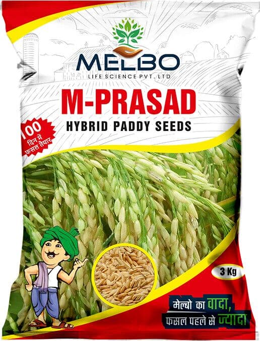 M-Prasad