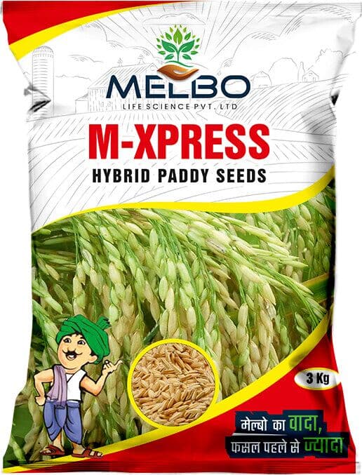 M-Xpress