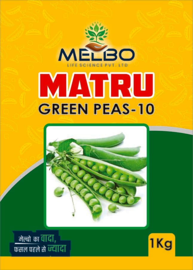 Matru (Green Peas-10) — view 2